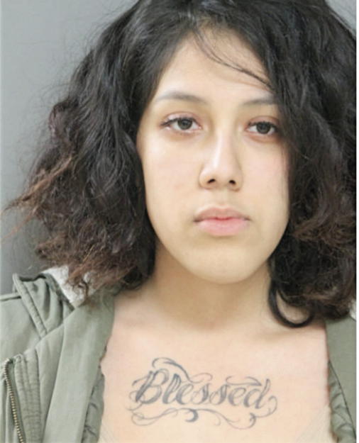 VIVIANA ALBA, Cook County, Illinois