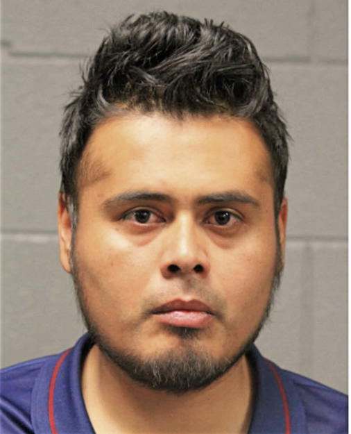 JAVIER ALFARO, Cook County, Illinois