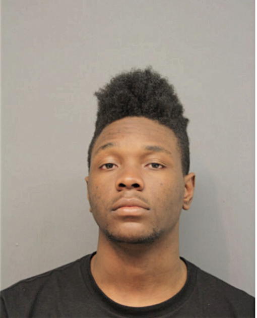 MATTHEW W BRIGHT, Cook County, Illinois
