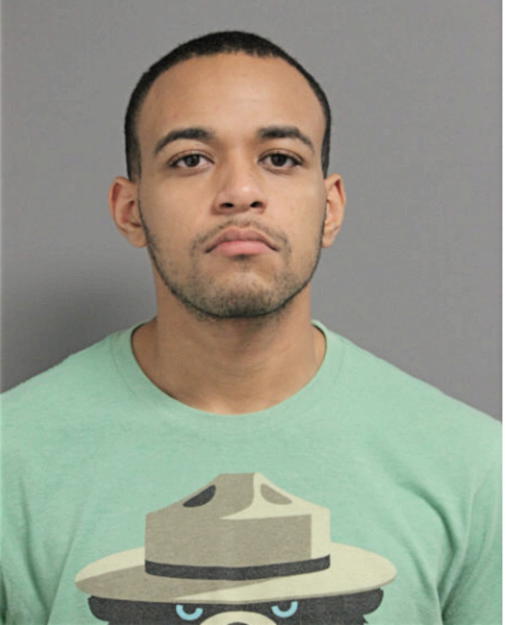 ALLEN A BURGESS, Cook County, Illinois
