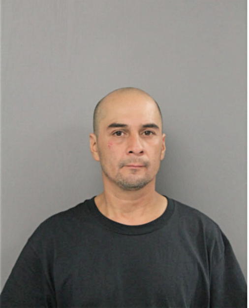 LOUIE DELAO, Cook County, Illinois