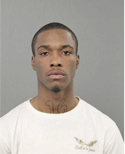 BRANDON D DEW, Cook County, Illinois