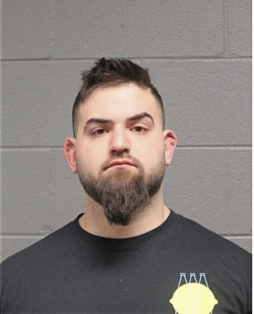 GUY G ELSBERT, Cook County, Illinois