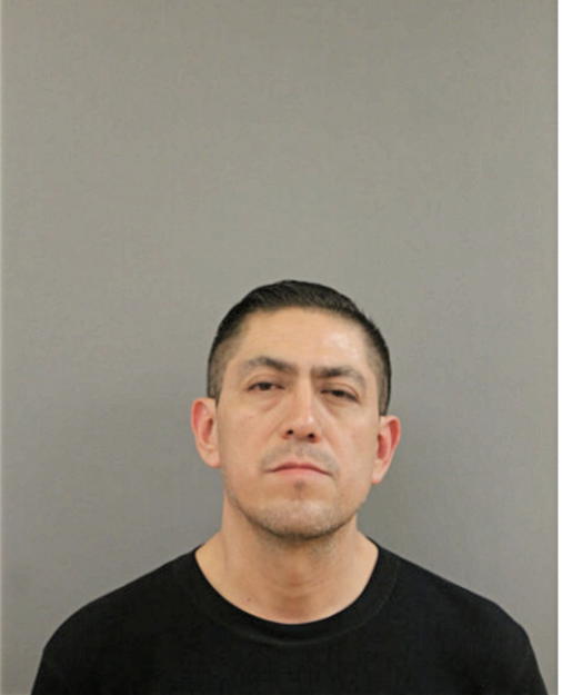 JOSE L FLORES, Cook County, Illinois