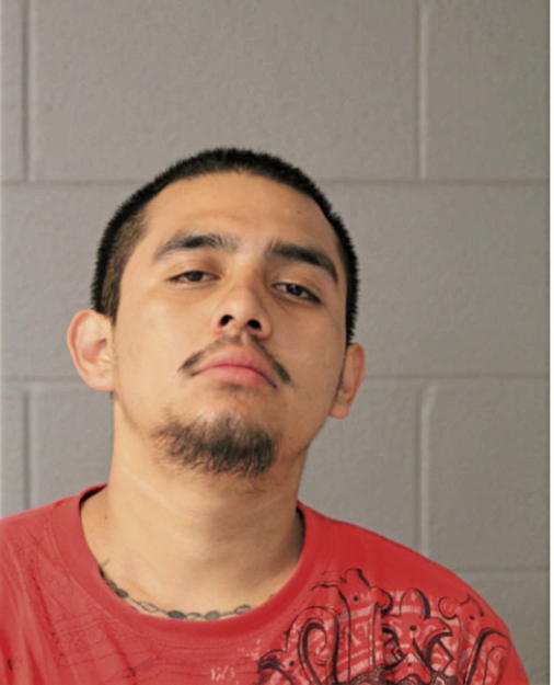ENRIQUE FUENTES, Cook County, Illinois