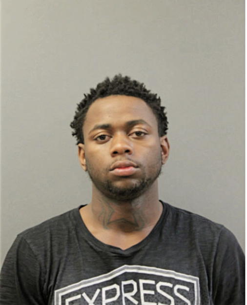 ANDRE J FULTON, Cook County, Illinois