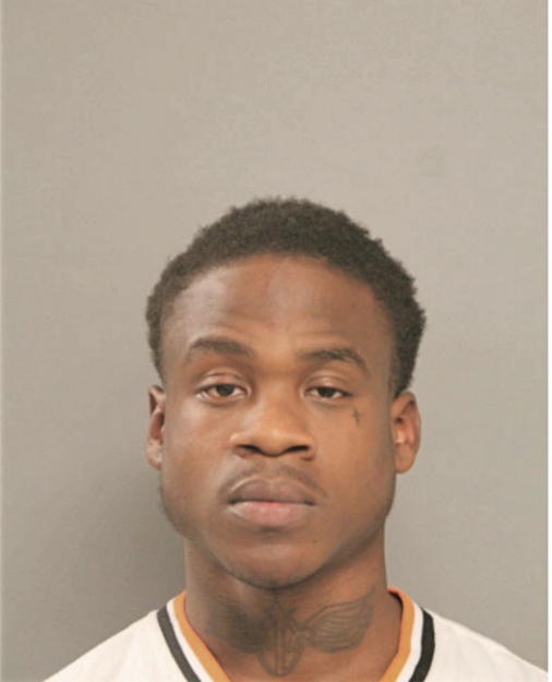 DEANDRE T GIVANDS, Cook County, Illinois