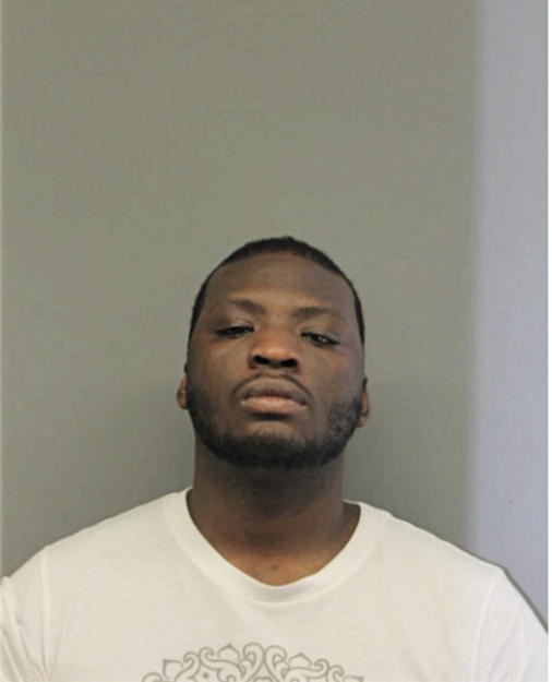 TIRELLE D HAYNES, Cook County, Illinois