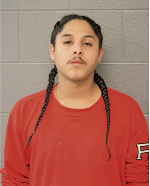 ROBERTO HERNANDEZ, Cook County, Illinois
