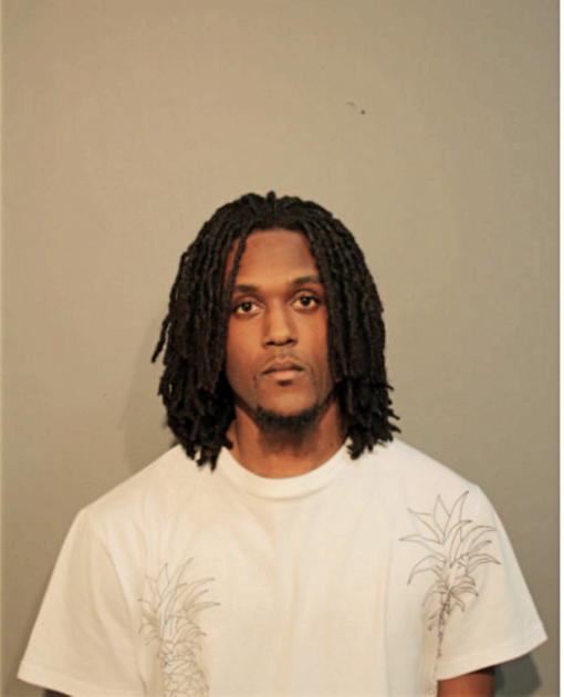 CHRISTOPHER D HOLLOWELL, Cook County, Illinois