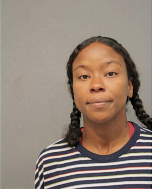 MEGAN J IRWIN, Cook County, Illinois