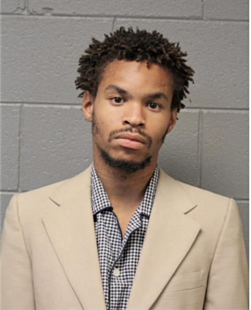 CARL M JOHNSON, Cook County, Illinois