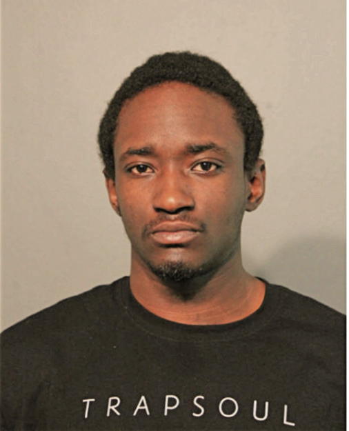 THOMAS T JOHNSON, Cook County, Illinois
