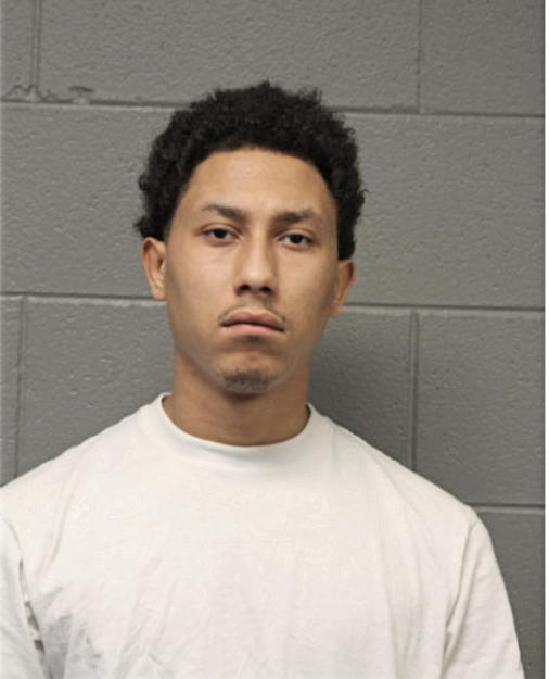 ANTHONY T KNOX, Cook County, Illinois