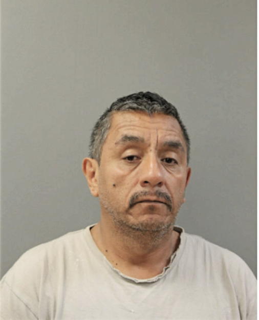 ALFREDO LAGUNES, Cook County, Illinois
