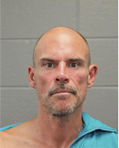 BRIAN W LAVERGNE, Cook County, Illinois