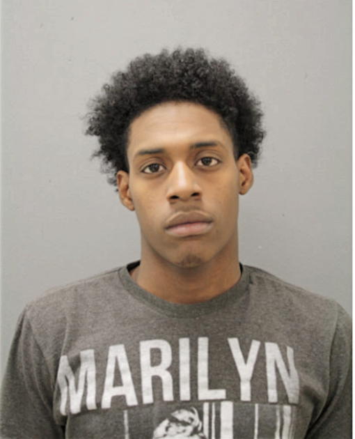 CAMERON C LEWIS, Cook County, Illinois
