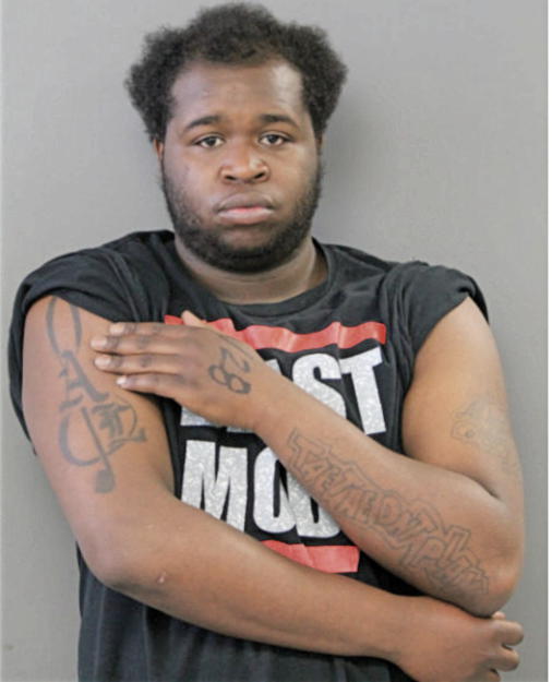 AMONTE LOPEZ, Cook County, Illinois