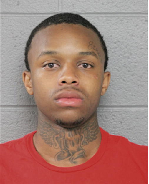 DEVON J LOVALOY, Cook County, Illinois