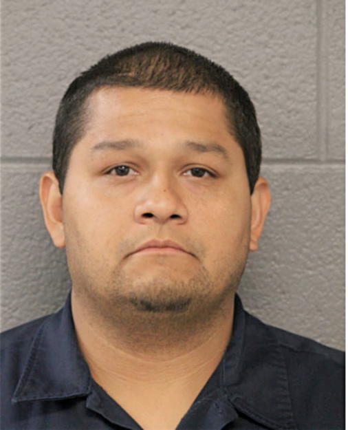 SALVADOR E LOZANO, Cook County, Illinois