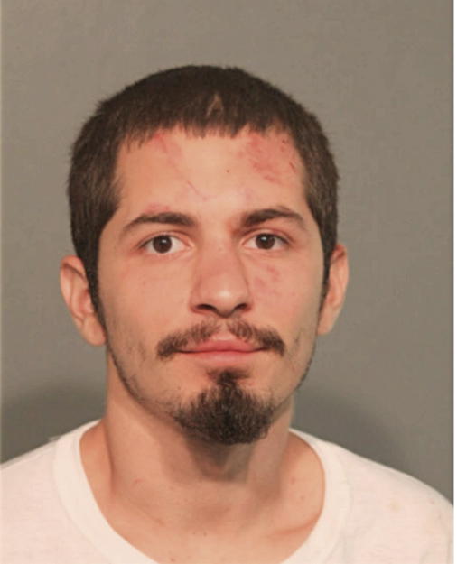 LUIS M RESENDIZ, Cook County, Illinois