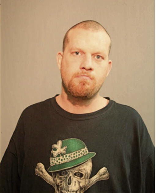 SEAN A MECHANIC, Cook County, Illinois