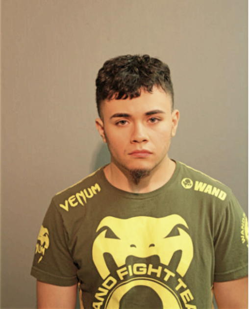 CHRISTIAN MARTIN MEJIA, Cook County, Illinois