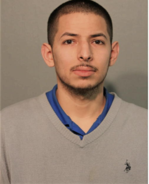 CARLOS M OCHOA, Cook County, Illinois