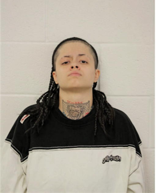 BRITTANY S OLIVERA, Cook County, Illinois