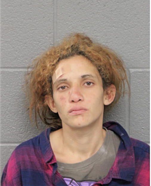 SONIA N RAMOS, Cook County, Illinois