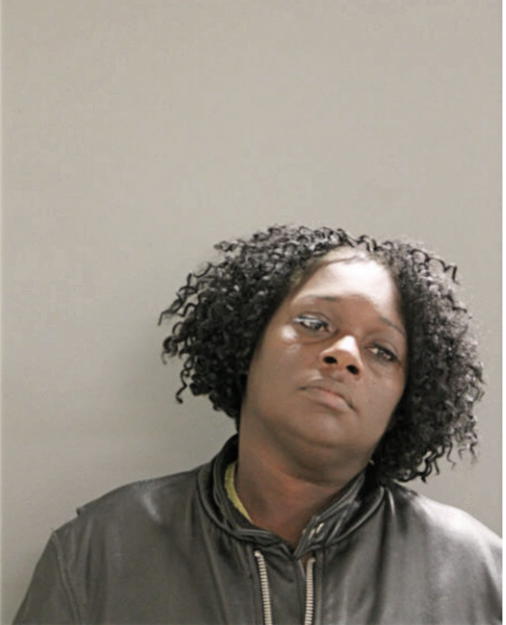 KAREN E ROBINSON, Cook County, Illinois