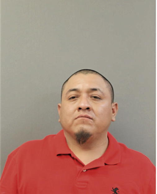 NOE RUBIO-ALEMAN, Cook County, Illinois