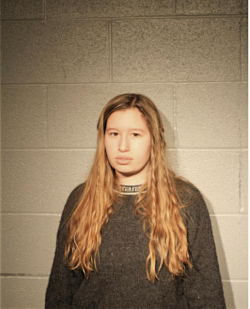 LAURA K SYDELLE, Cook County, Illinois