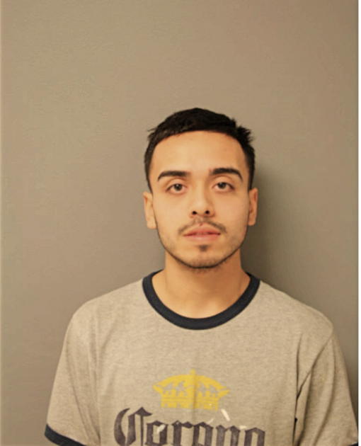 MANUEL VEGA, Cook County, Illinois