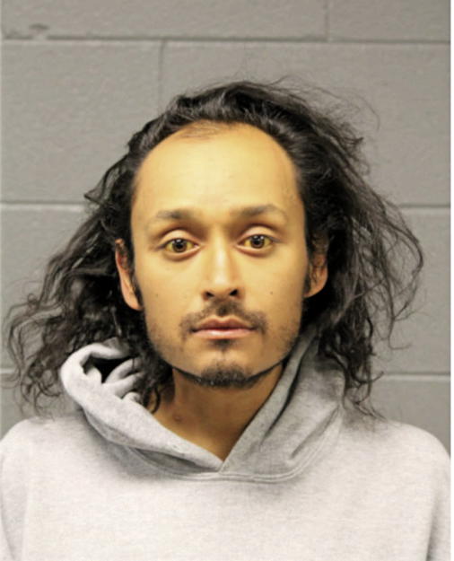 MARIO C VERA, Cook County, Illinois