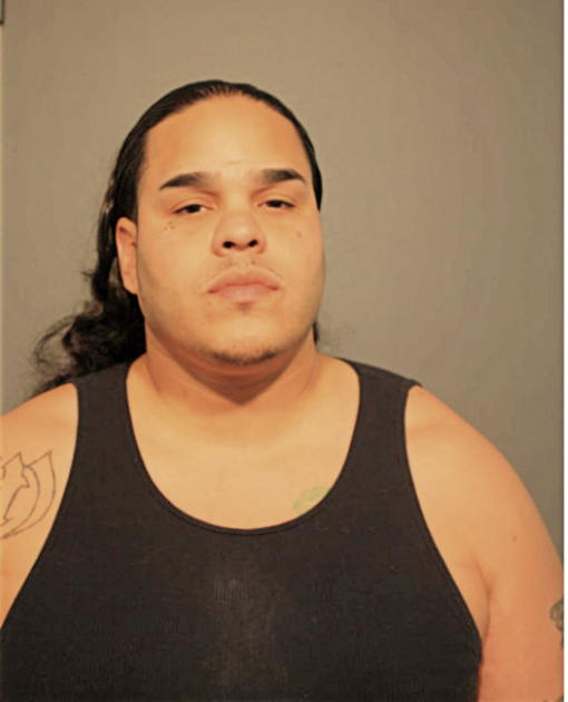 JOSE M ALVAREZ, Cook County, Illinois