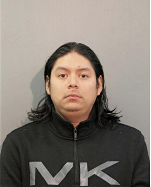 IGNACIO AVELAR, Cook County, Illinois