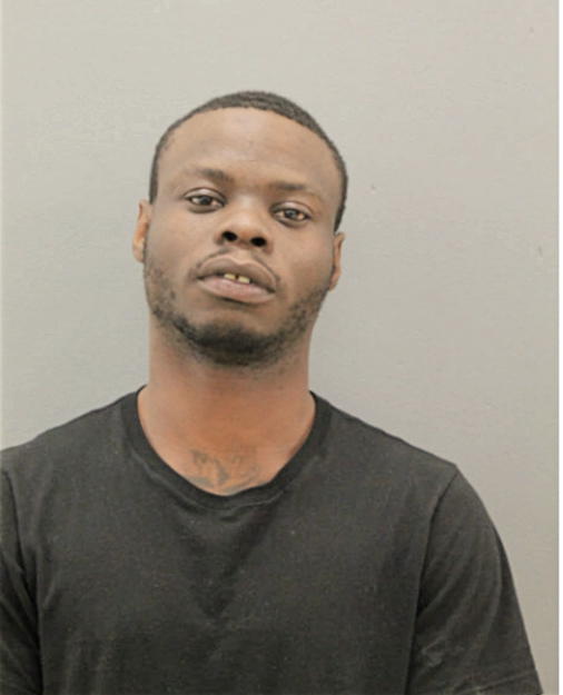 TERRY L BAKER, Cook County, Illinois