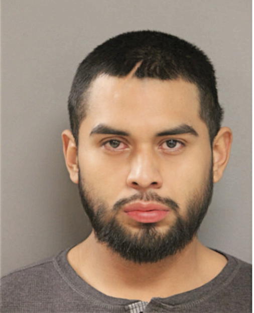 ADOLFO BELTRAN, Cook County, Illinois