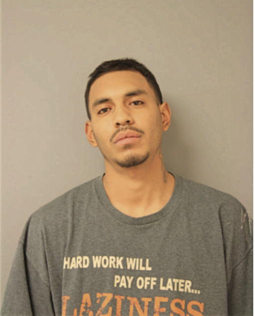 MILO D BROWN, Cook County, Illinois