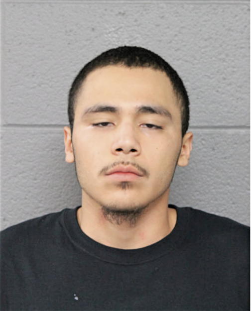 MARIO M CALIXTO, Cook County, Illinois