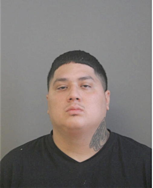 JOSE D CASTILLO, Cook County, Illinois