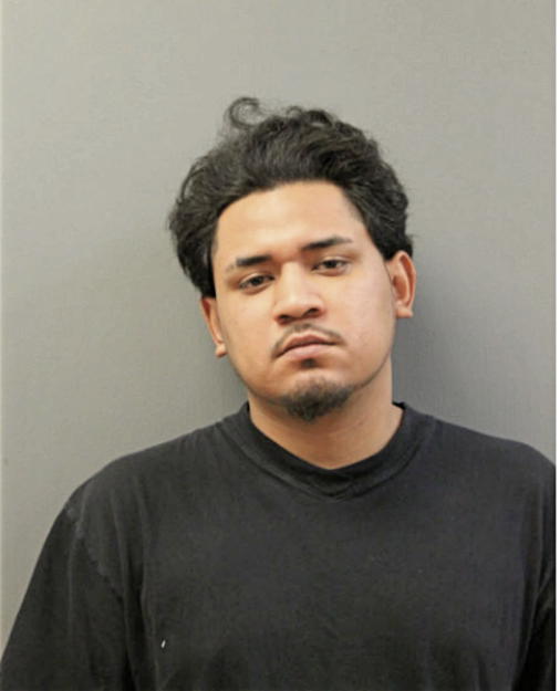 DONACIANO CHAVEZ-BIBIANO, Cook County, Illinois