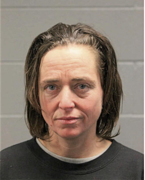 ADRIANE J COOK, Cook County, Illinois