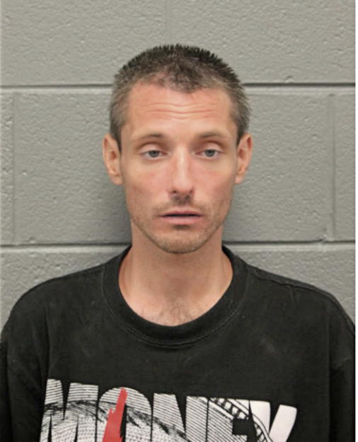 RYAN T HANLEY, Cook County, Illinois