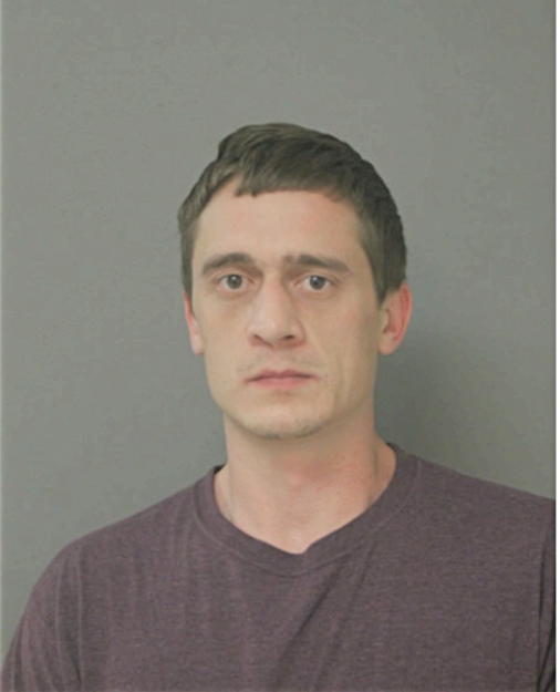 CARL D LANDA, Cook County, Illinois