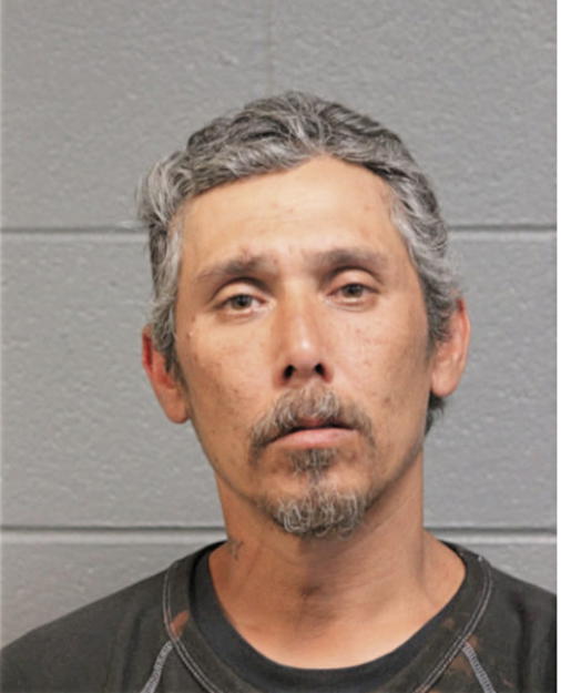 ROBERT A LENNING, Cook County, Illinois