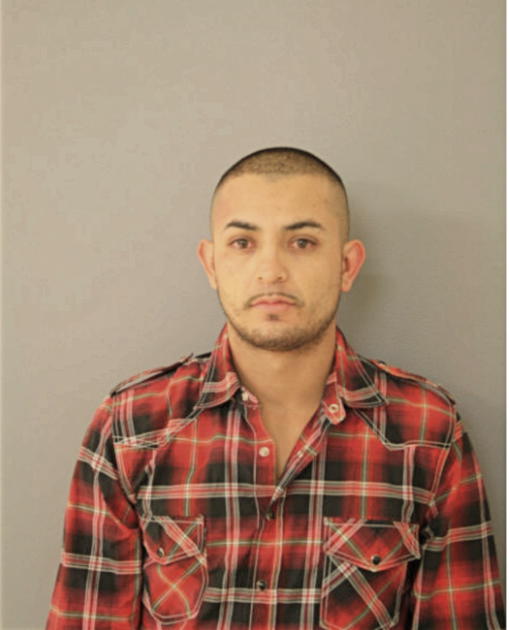 JUAN D LEYVA, Cook County, Illinois
