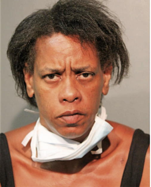 THERESA LOGAN, Cook County, Illinois