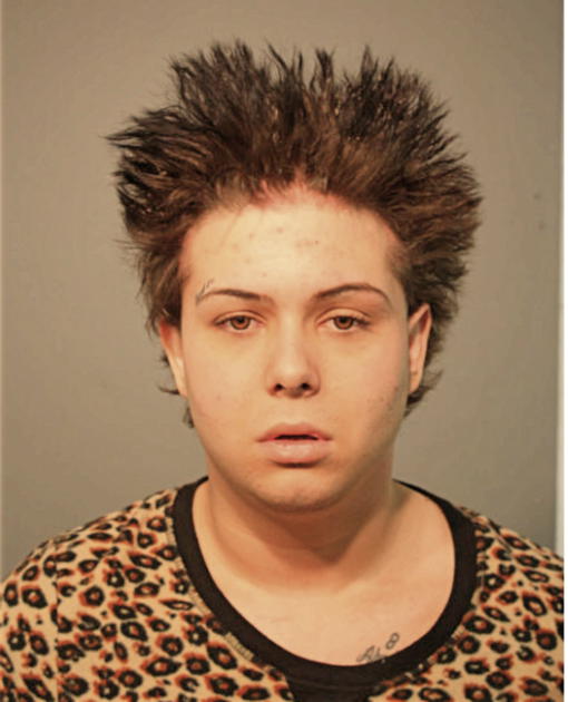 FERID MAHALBASIC, Cook County, Illinois